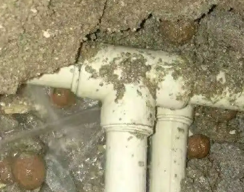 宁远测漏水多少钱