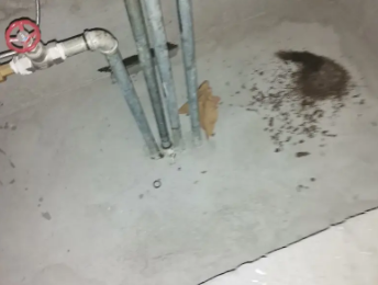 宁远卫生间测漏水价格明细