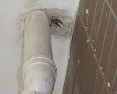 宁远漏水检测哪家好